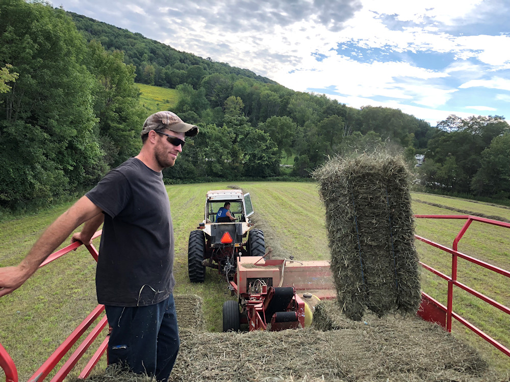 Hyder Creek Farm